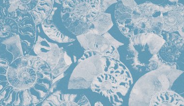 Abstract granular background of fossil Ammonites, decorative wallpaper of petrified shells, print from spirals of seashells on blue backdrop. clipart