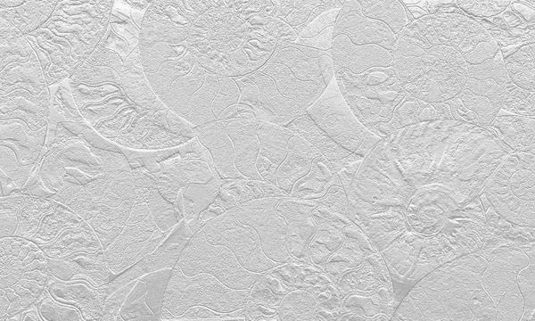 Абстрактное Происхождение Аммонитов Аммоноидов Декоративные Обои Окаменелых Раковин Печать Спиралей — стоковое фото