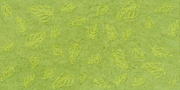 Тропічні листя Монстера на мармур текстурованою фону, безшовних візерунок з шумом і текстурою. — стокове фото