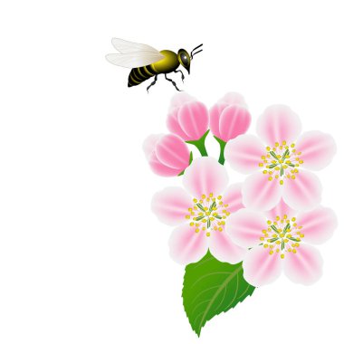 Apple ve arı çiçekli çiçekli arka plan.