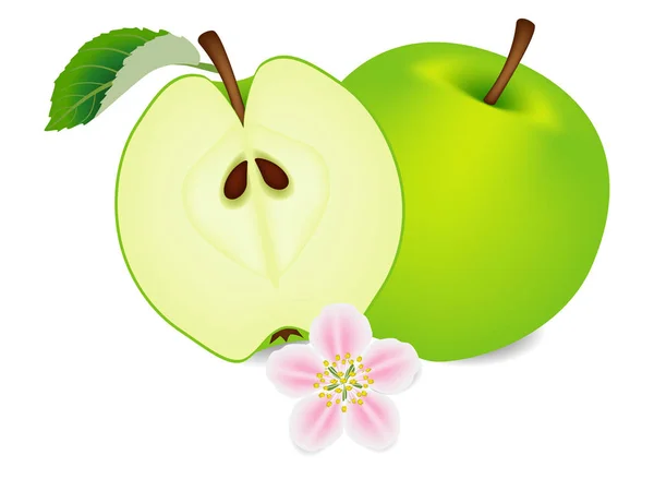 Manzana Entera Mitad Con Una Flor Sobre Fondo Blanco — Vector de stock