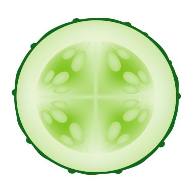 Taze beyaz arka plan üzerinde izole salatalık dilim.