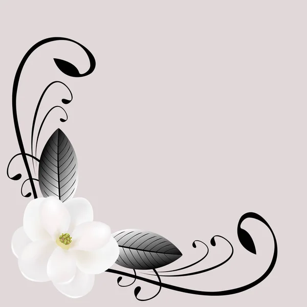 Composición Esquina Con Magnolia Blanca Hojas — Vector de stock