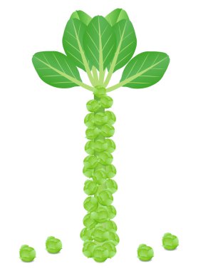 Beyaz bir arka planda izole taze Brussel lahanası sapı.