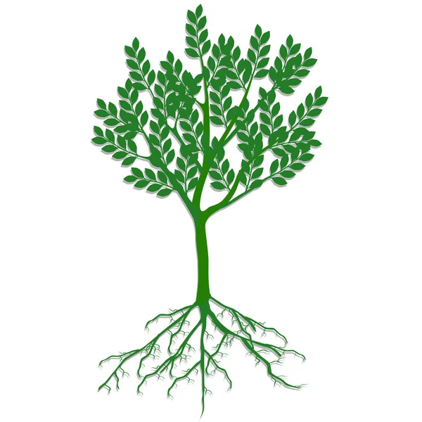 Árvore Ecológica Verde Com Raízes Fundo Branco — Vetor de Stock