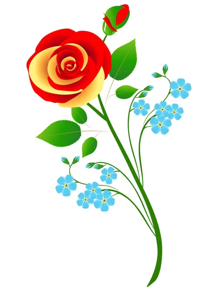 Ramo Rosa Con Azul Olvidan Las Flores Sobre Fondo Blanco — Vector de stock