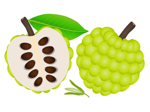 Whole sugar apple and half with a flower on a white background.