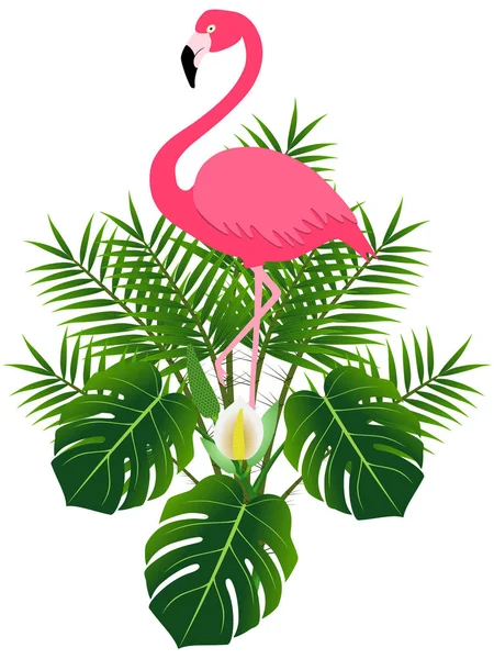 粉红火烈鸟 怪兽和热带棕榈叶 — 图库矢量图片
