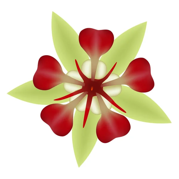 Cupuacu Cacao Λουλούδι Απομονωμένο Λευκό Φόντο Λογότυπο Στοιχείο Σχεδιασμού — Διανυσματικό Αρχείο