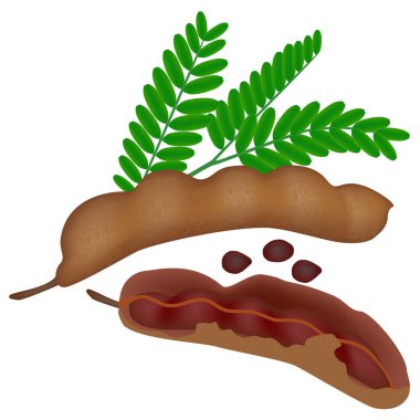 Taze demirhindi meyveleri ve yaprakları beyaz üzerine izole edilmiş..