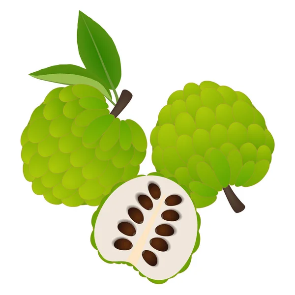 Frutas Enteras Cherimoya Mitad Sobre Fondo Blanco — Vector de stock