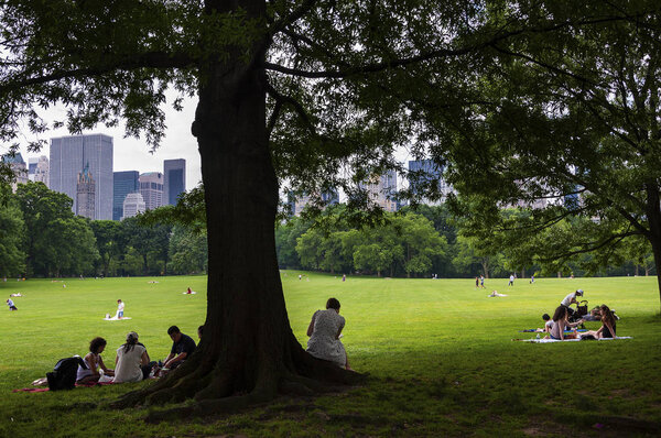 New York City, USA - June 6, 2010: People enjoying a sunny day at the Central Park with the New York skyline in the background, in the city of New York, USA.