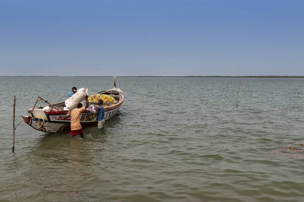 Cacheu República Guinea Bissau Febrero 2018 Pescadores Preparando Canoa Puerto —  Fotos de Stock