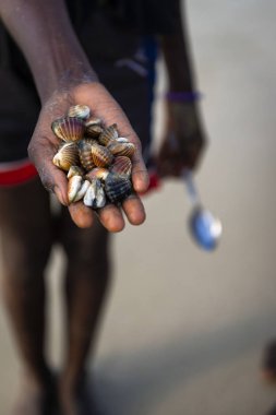 Ayrıntı Adası Orango, Gine Bissau, gün batımında Beach'de bir kanlı hasat el.