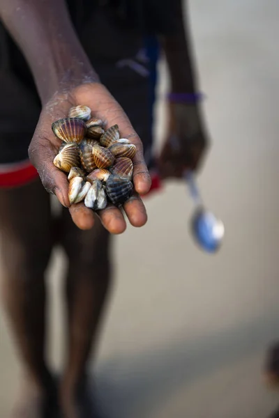 Detail Der Hand Eines Herzmuschelernteers Strand Der Insel Orang Utan — Stockfoto