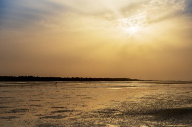 Orango Island günbatımı, Gine Bissau, plajda cockle yakalayıcı silüeti. Orango Bijagos adalar bir parçasıdır; Kavramı için Afrika'da seyahat ve tatil yaz