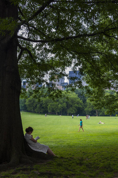 New York City, USA - June 6, 2010: Young woman reading a book under a tree at the Central Park with the New York skyline in the background, in the city of New York, USA.