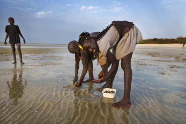 Orango Island, Gine-Bissau 2 Şubat 2018: tarak Orango Adası plajda günbatımında toplama çocuk.