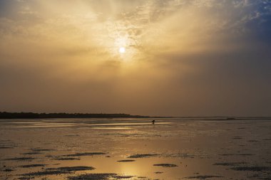 Orango Island günbatımı, Gine Bissau, plajda cockle yakalayıcı silüeti. Orango Bijagos adalar bir parçasıdır; Kavramı için Afrika'da seyahat ve tatil yaz