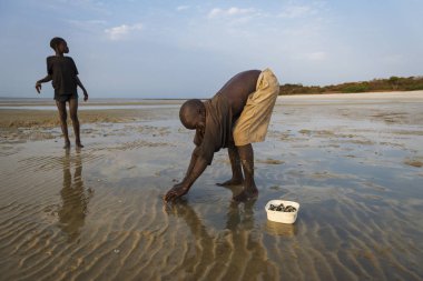 Orango Island, Gine-Bissau 2 Şubat 2018: tarak Orango Adası plajda günbatımında toplama çocuk.