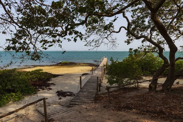 Piękna Scena Plaży Orango Island Gwinei Bissau Koncepcja Dla Podróży — Zdjęcie stockowe