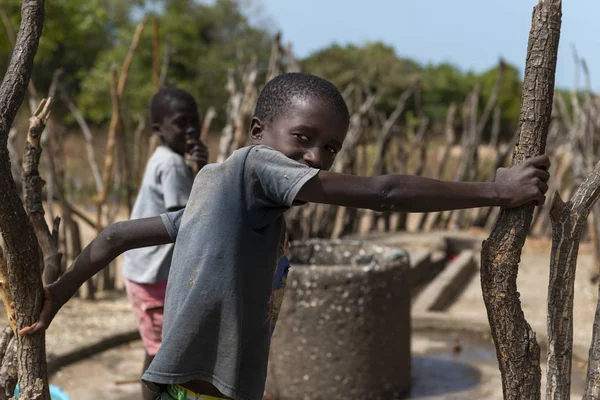 Orango Island Guinea Bissau Februar 2018 Eine Gruppe Von Jungen — Stockfoto