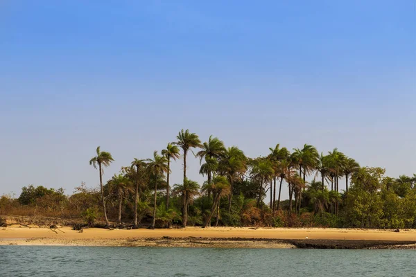 ギニア ビサウの歌劇 オランゴ 島のヤシの木と人けのないビーチ オランゴ Bijagos 列島の一部であります 概念のアフリカ旅行 夏の休暇 — ストック写真