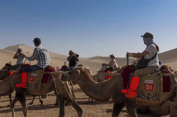 Dunhuang China Agosto 2012 Grupo Turistas Chineses Montando Camelos Echoing — Fotografia de Stock