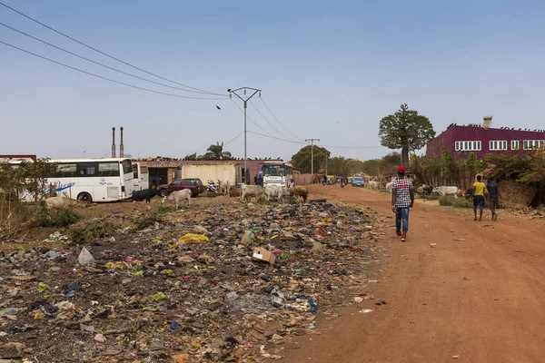 Bissau Gine Cumhuriyeti Şubat 2018 Inekler Satan Insanlar Yakınındaki Şehir — Stok fotoğraf