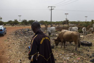 Bissau, Gine Cumhuriyeti - 5 Şubat 2018: inekler satan insanlar yakınındaki şehir Bissau, Gine Bissau, Batı Afrika eteklerinde bir çöplük. Sağlık ve sağlık koşulları çok kötü Gine Bissau, wich yoksul biridir