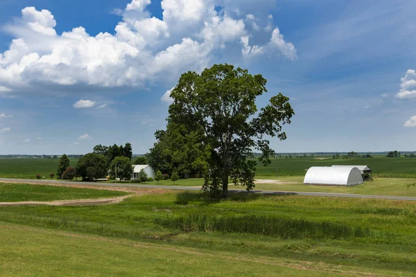 Vista Una Granja Una Zona Rural Del Estado Mississippi Cerca — Foto de Stock