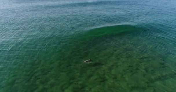 Flygfoto Över Surfare Paddling Guincho Stranden Cascais Portugal — Stockvideo