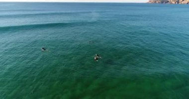 Cascais, Portekiz Guincho Plajı'nda bir dalga sürme sörfçü havadan görünümü