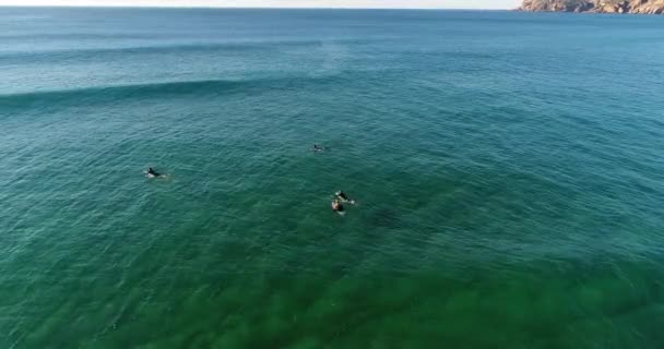 Vista Aérea Surfistas Montando Una Ola Playa Guincho Cascais Portugal — Vídeo de stock