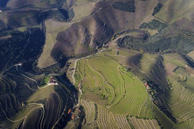 Teraslı üzüm bağları Douro Valley yakınındaki Pinhao Köyü, Portekiz Hava görünümünü; Kavram Portekiz seyahat ve Portekiz en güzel yerleri