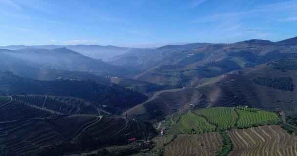 Luchtfoto Van Terrasvormige Wijngaarden Het Douro Valley Buurt Van Het — Stockvideo