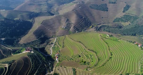 Luftaufnahme Der Terrassenförmigen Weinberge Douro Tal Der Nähe Des Dorfes — Stockvideo