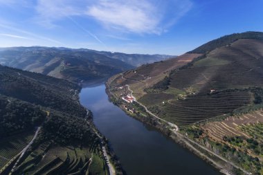 Teraslı üzüm bağları Douro Valley ve nehir kenarında Pinhao Köyü, Portekiz Hava görünümünü; Kavram Portekiz seyahat ve Portekiz en güzel yerleri