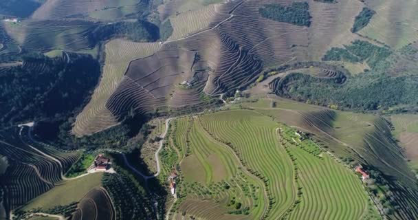 Letecký Pohled Terasovitých Vinic Údolí Douro Nedaleko Vesnice Pinhao Portugalsko — Stock video