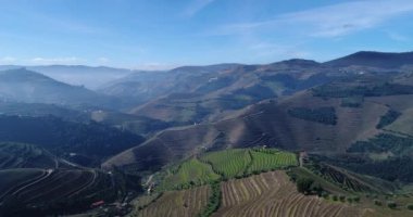 Teraslı üzüm bağları Douro Valley yakınındaki Pinhao Köyü, Portekiz Hava görünümünü; Kavram Portekiz seyahat ve Portekiz en güzel yerleri