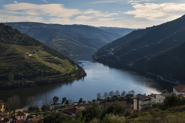Görünüm Teraslı Üzüm Bağları Portekiz Douro Nehri Ile Pinhao Köyü — Stok fotoğraf