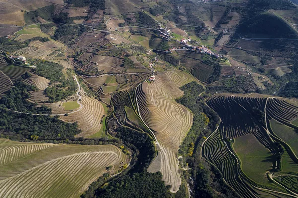 계단식된 Douro Pinhao 포르투갈 근처에서 포르투갈에서 포르투갈에서 장소에 — 스톡 사진