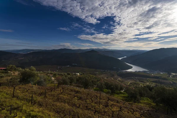 Görünüm Teraslı Üzüm Bağları Portekiz Douro Nehri Ile Pinhao Köyü — Stok fotoğraf