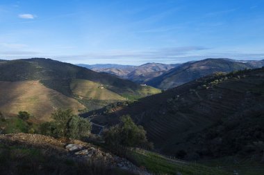 Pinhao, Portekiz köyü yakınlarındaki Douro Vadisi'nde teraslı üzüm bağları görünümü; Portekiz ve Portekiz'de en güzel yerlerde seyahat için Kavram
