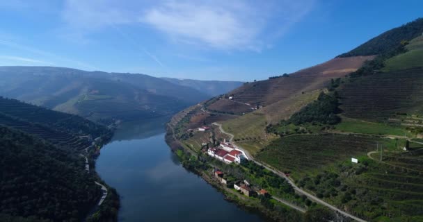 在葡萄牙平豪村附近的杜罗河谷和河流中展示梯田葡萄园的鸟瞰图 在葡萄牙和葡萄牙最美丽的地方旅行的概念 — 图库视频影像