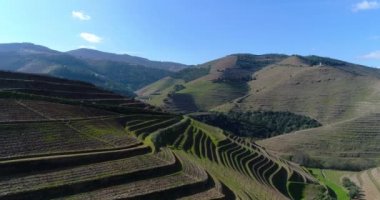 Teraslı üzüm bağları Douro Valley yakınındaki Pinhao Köyü, Portekiz Hava görünümünü; Kavram Portekiz seyahat ve Portekiz en güzel yerleri