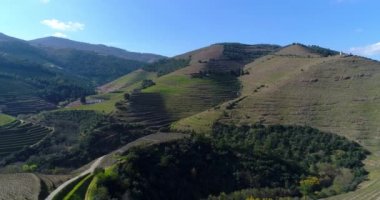 Portekiz'in Pinhao köyü yakınlarındaki Douro Vadisi'ndeki teraslı üzüm bağlarının havadan görünümü; Portekiz ve Portekiz'de en güzel yerlerde seyahat için Kavram