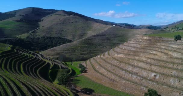 Avslöjande Luftutsikt Över Terrasserade Vingårdarna Dourodalen Nära Byn Pinhao Portugal — Stockvideo