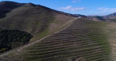 Portekiz'in Pinhao köyü yakınlarındaki Douro Vadisi'ndeki teraslı üzüm bağlarının havadan görünümü; Portekiz ve Portekiz'de en güzel yerlerde seyahat için Kavram