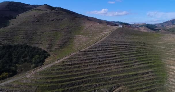 Revelando Vista Aérea Das Vinhas Socalcos Vale Douro Perto Aldeia — Vídeo de Stock